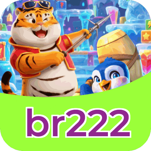 Instalação PC br222