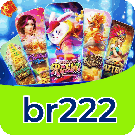 Instalação PC br222